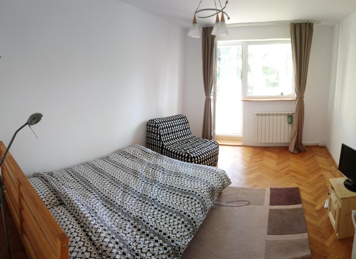 Simple And Comfortable Apartment Миеркуря Чук Екстериор снимка
