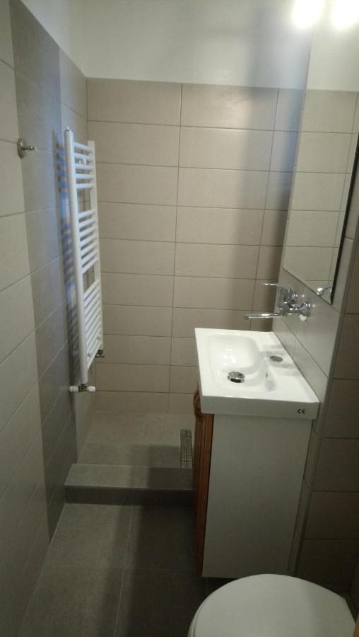 Simple And Comfortable Apartment Миеркуря Чук Екстериор снимка